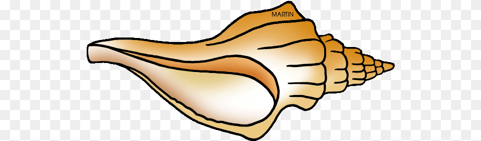 United States Clip Art By Phillip Martin Florida State Conch, Animal, Invertebrate, Sea Life, Seashell Png Image