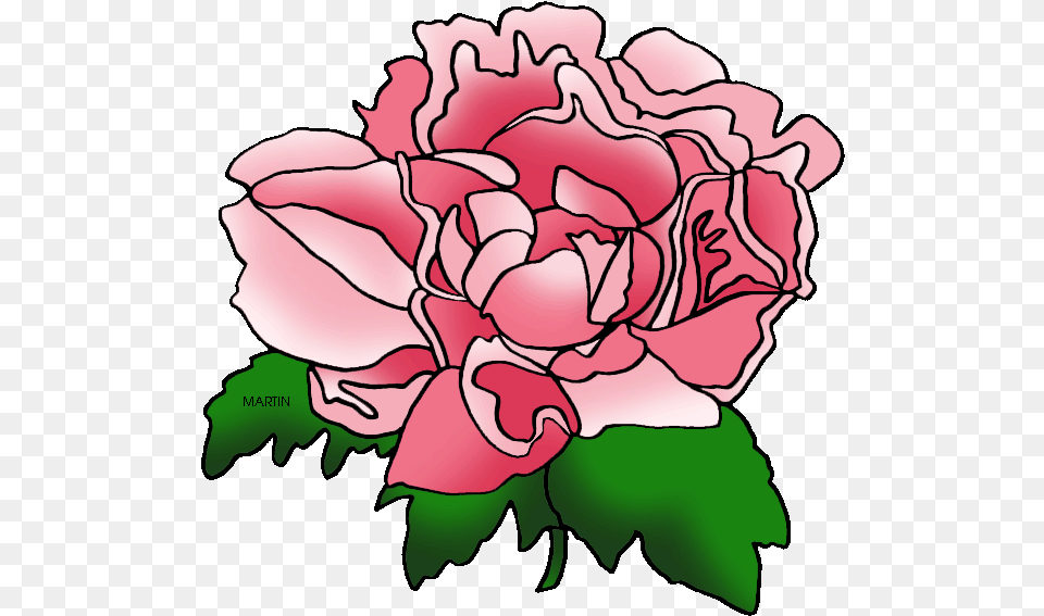 United States Clip Art By Phillip Martin Indiana State Peonies Flower Clipart, Carnation, Plant, Rose, Baby Png Image