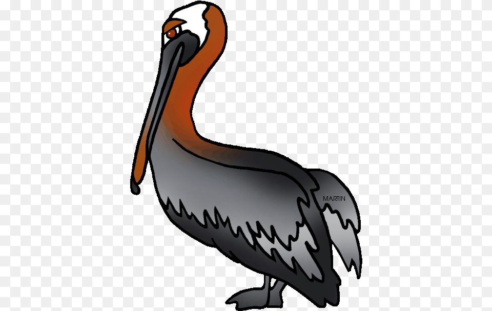 United States Clip Art By Phillip Martin Louisiana Louisiana State Brown Pelican, Animal, Bird, Waterfowl, Adult Png