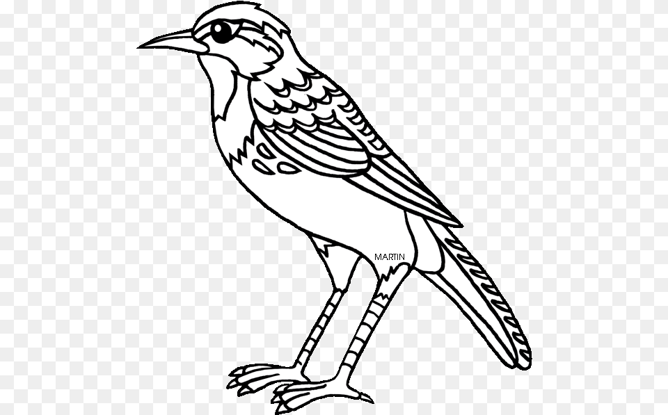 United States Clip Art By Phillip Martin State Bird Nebraska State Bird Coloring Page, Stencil, Animal, Anthus Png Image