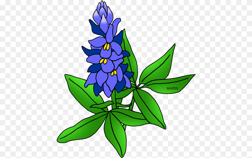 United States Clip Art By Phillip Martin Texas State Bluebonnet Clipart, Flower, Iris, Plant, Lupin Free Png