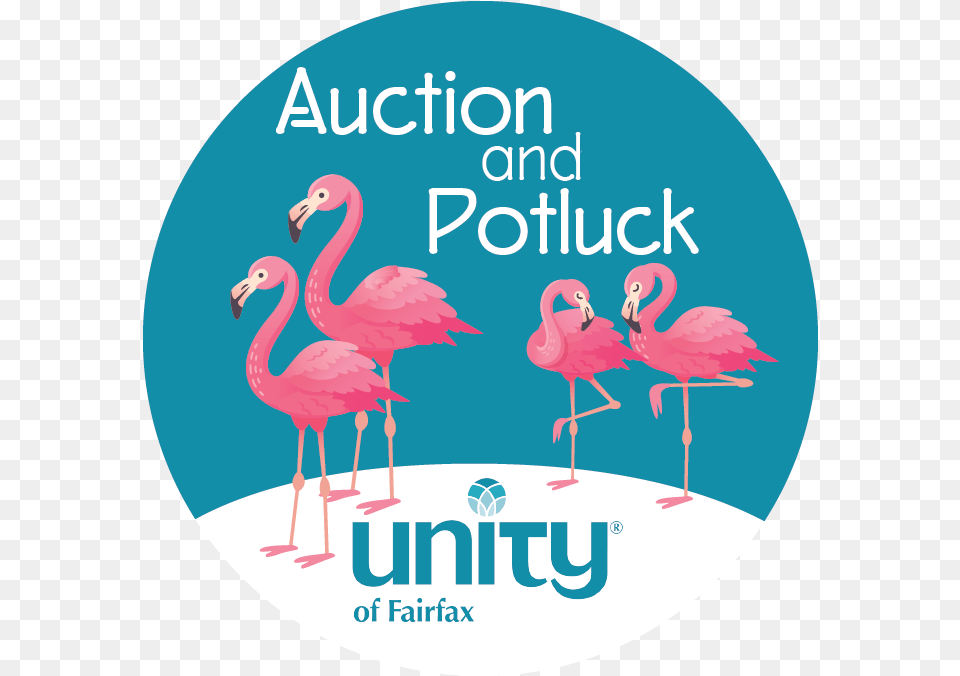 Unity Church, Animal, Bird, Flamingo Png Image