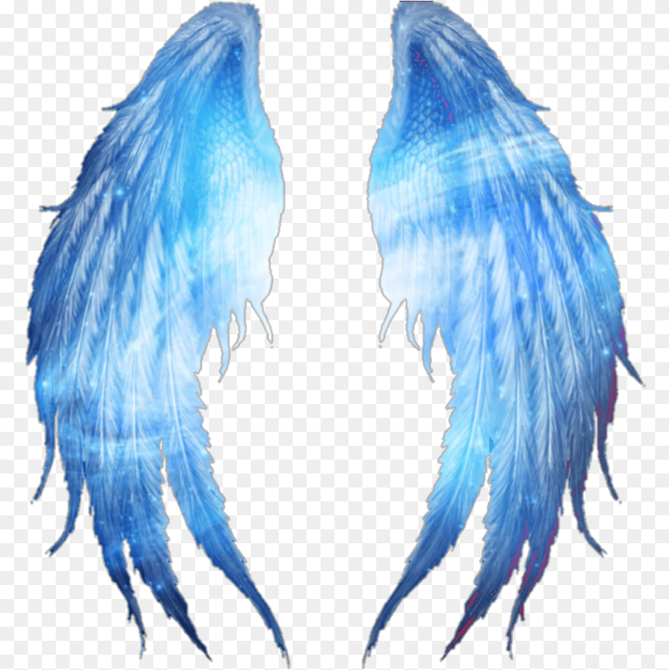 Universe Wings Wing Blue Instagram Swirl Swirls Universe Wings, Animal, Bird Free Png Download