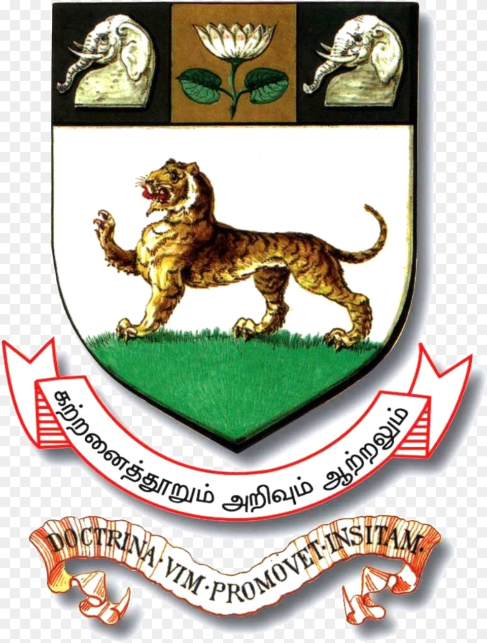 University Of Madras University Of Madras Logo, Animal, Lion, Mammal, Wildlife Png