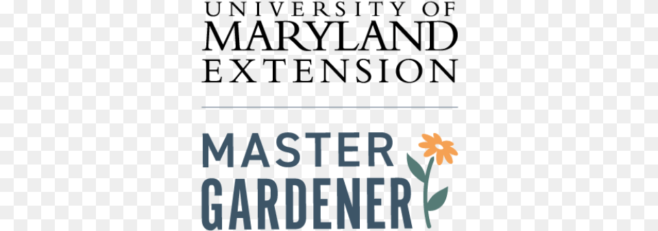 University Of Maryland, Flower, Plant, Text, Daffodil Free Transparent Png