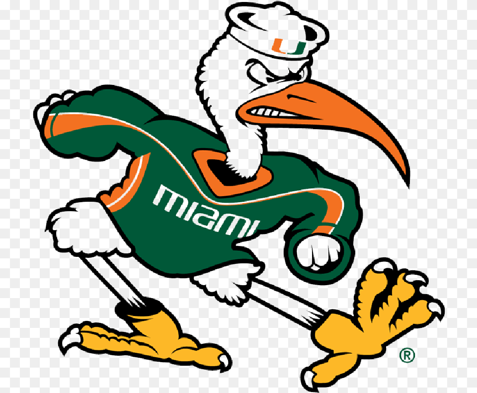 University Of Miami U2014 Daytripper, Animal, Beak, Bird, Person Png