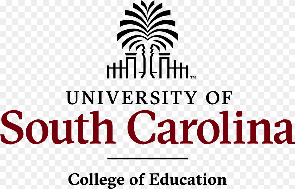 University Of South Carolina College Of Nursing Logo, Text Png Image