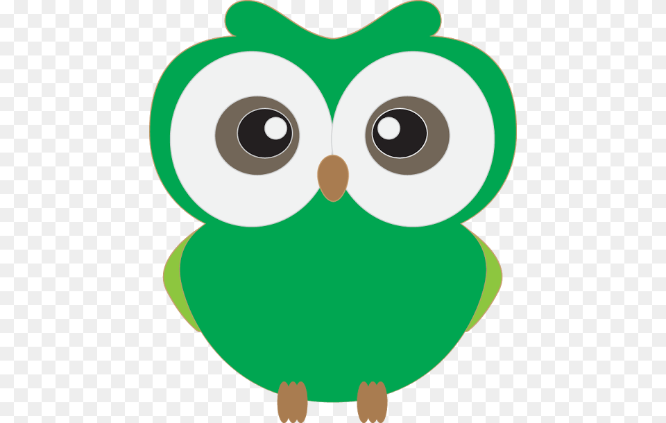 Unlimited Commercial Use, Animal, Bird, Owl Png