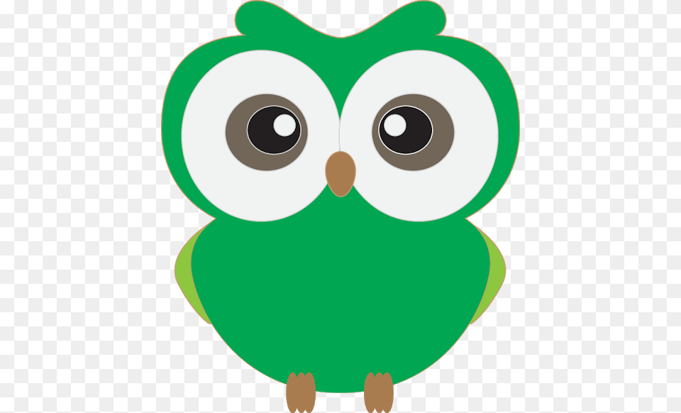 Unlimited Commercial Use, Animal, Bird, Owl, Baby Free Png