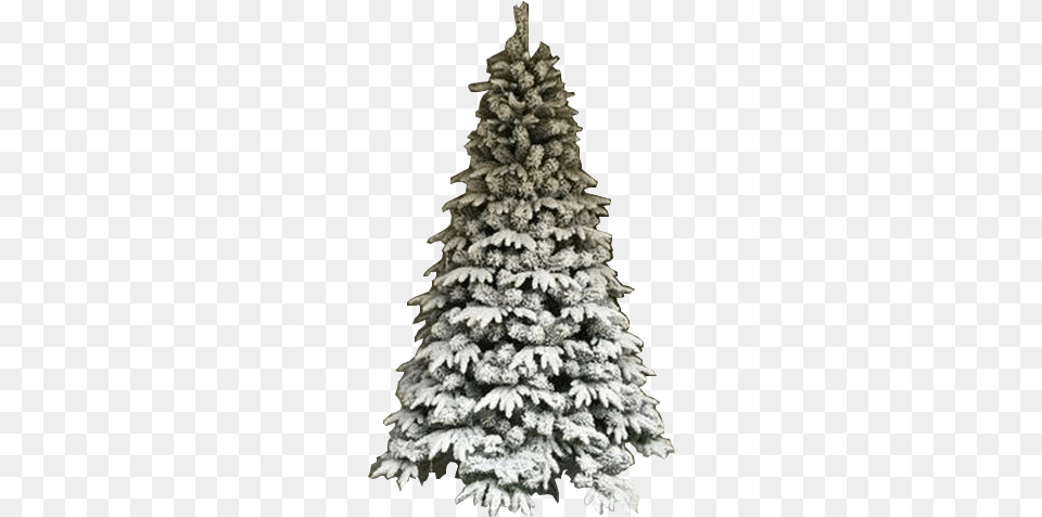 Unlit Flocked White Christmas Tree Christmas Tree, Plant, Pine, Fir, Wedding Png Image