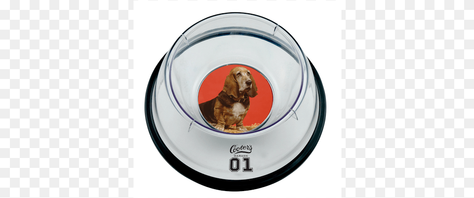 Unnamed 53 Circle, Animal, Canine, Dog, Mammal Png