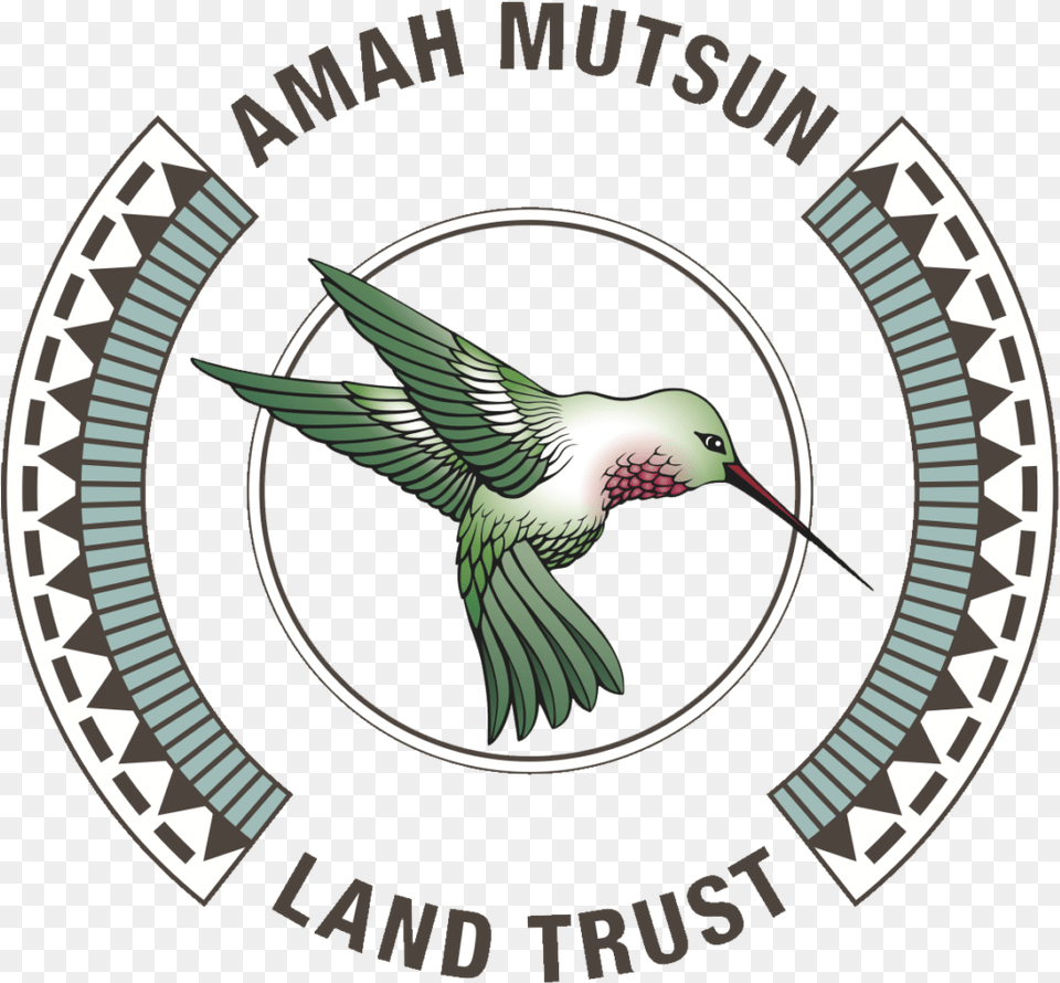 Unnamed Amah Mutsun, Animal, Bird Free Transparent Png