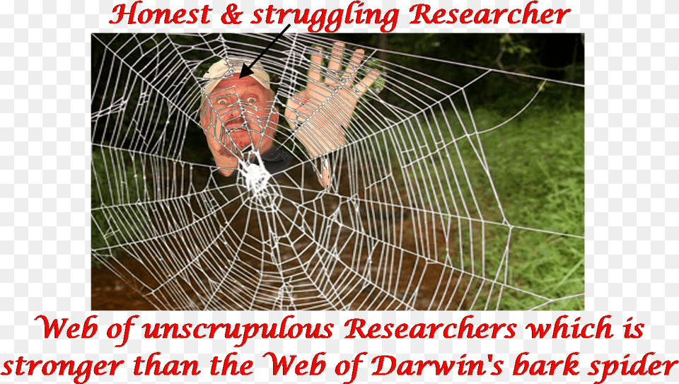 Unscrupulous Researchers Are Liability On The Nation Promise By Wayne Davis Leeper Paperback, Person, Face, Head, Spider Web Free Png Download