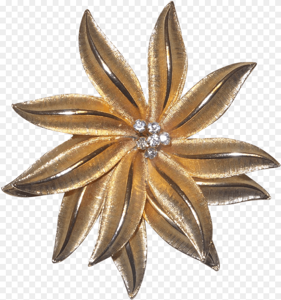 Unsigned Gerry39s Christmas Gold Tone Poinsettia Brooch Brooch, Accessories, Jewelry, Animal, Insect Png