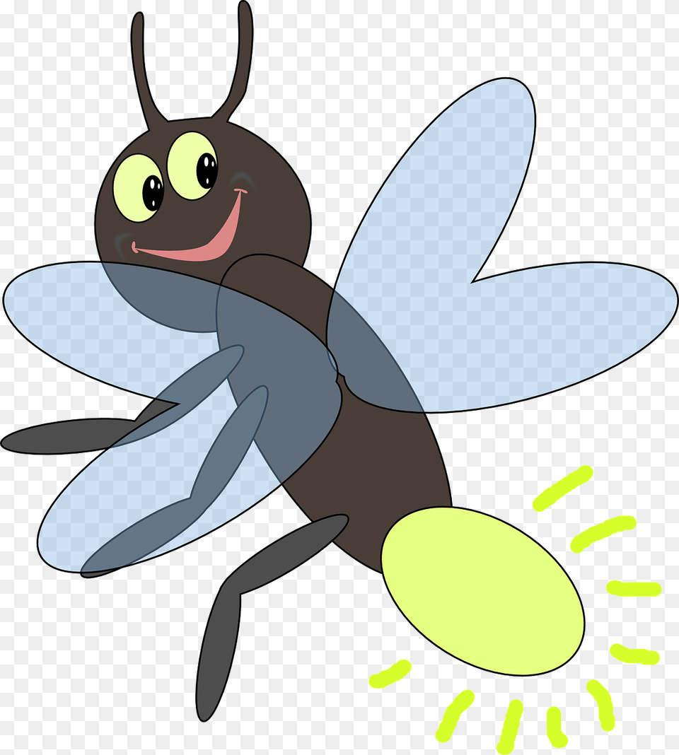 Unsocialized Blogs, Animal, Invertebrate, Insect, Firefly Png Image