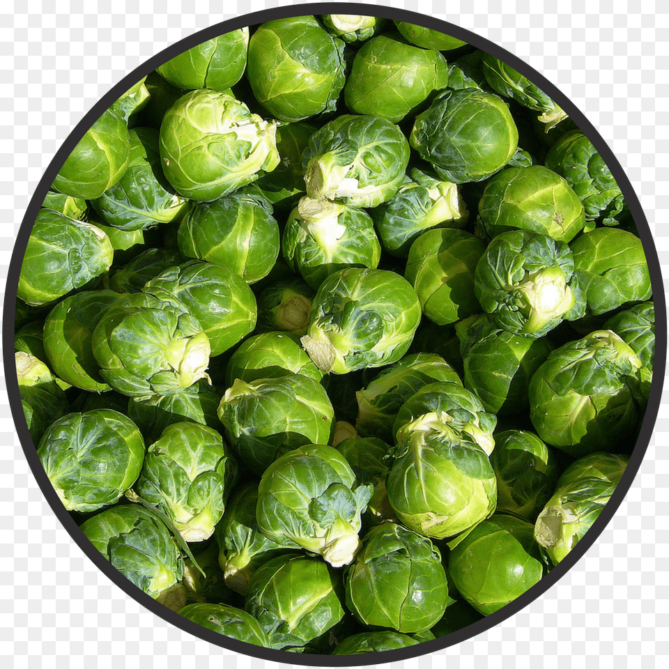 Untitled Design, Food, Produce, Plate, Brussel Sprouts Free Transparent Png