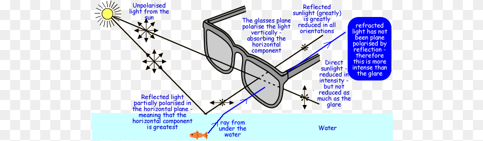 Untitled Document Do Polarized Sunglasses Work, Accessories, Chart, Plot, Goggles Free Transparent Png