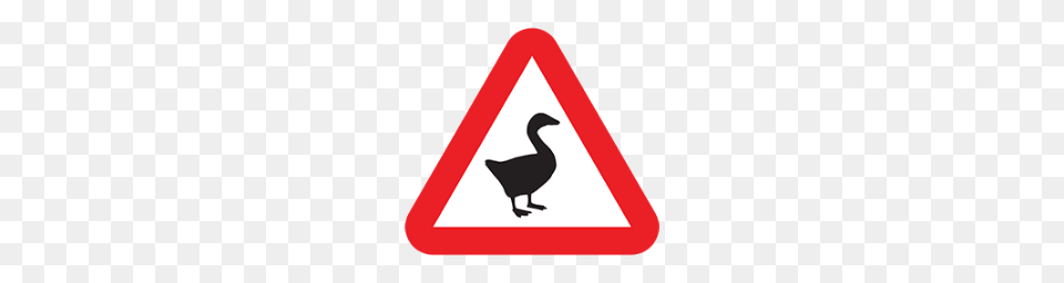 Untitled Goose Game, Sign, Symbol, Triangle, Animal Free Transparent Png