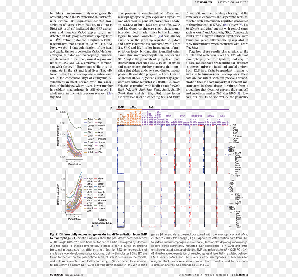 Untitled Tailpiece Pg 99 In The Book Dingo By Octave, Page, Text Png Image