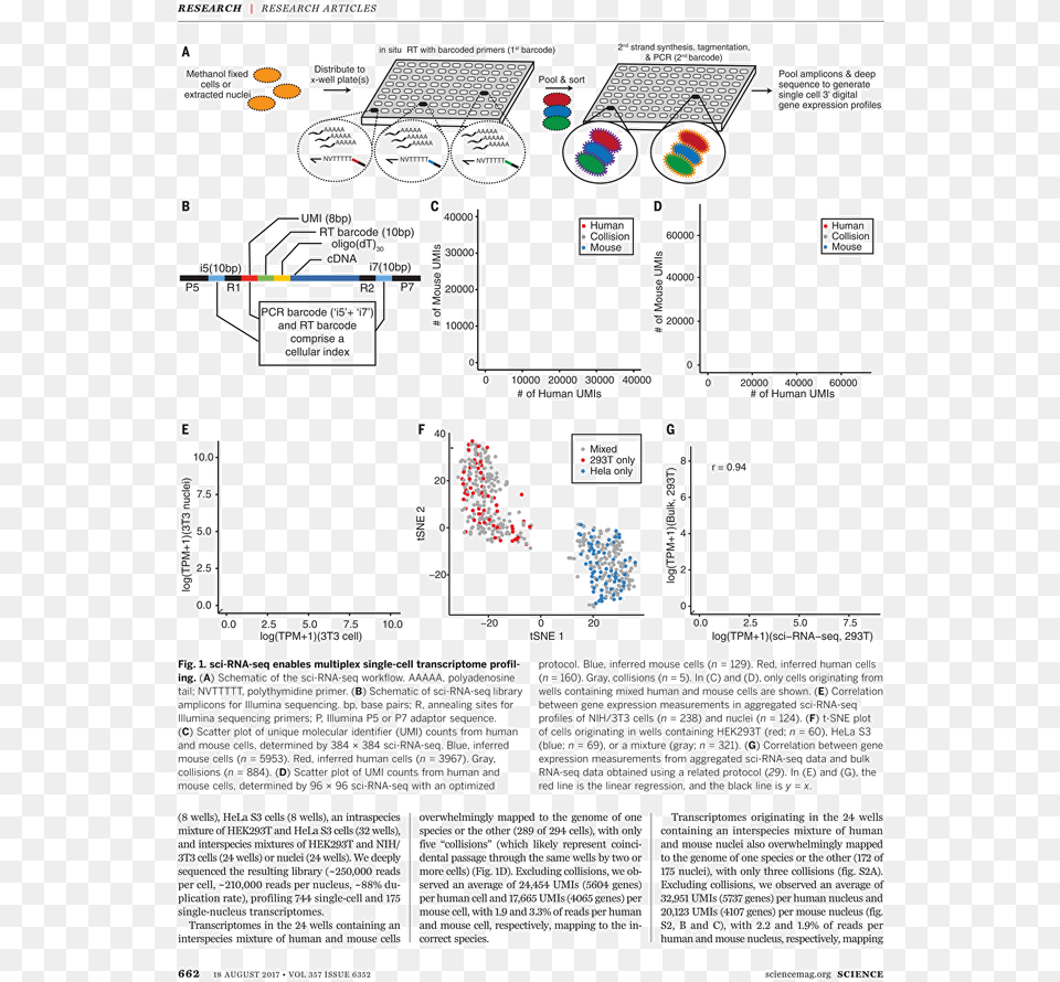 Untitled Tailpiece Pg Combinatorial Indexing Rna Seq, Qr Code, Text Free Transparent Png