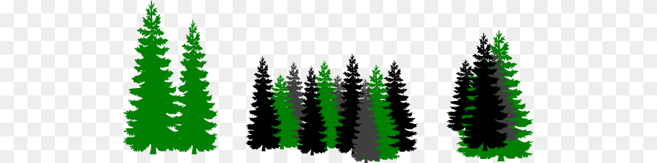 Up North Trees Clip Art, Fir, Pine, Plant, Tree Png