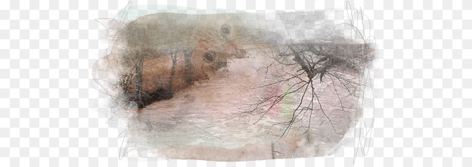 Update, Art, Painting, Animal, Bird Free Transparent Png