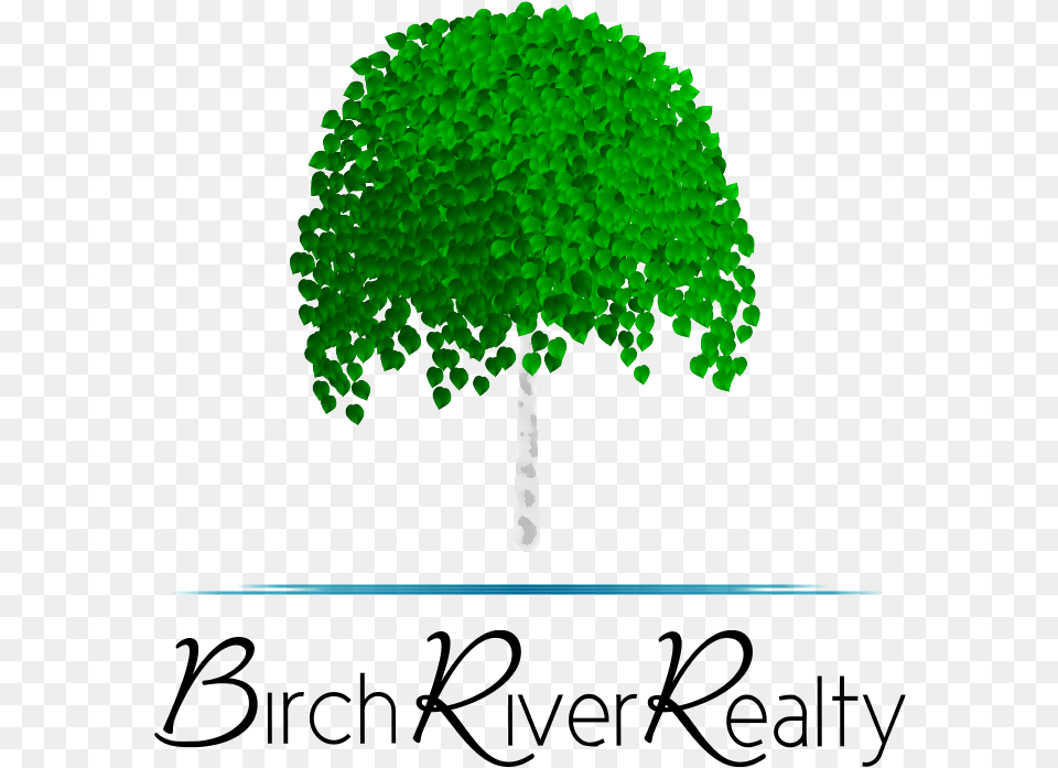 Updated And New Real Estate Listings At Birch River Birch River Realty, Green, Oak, Plant, Sycamore Png Image