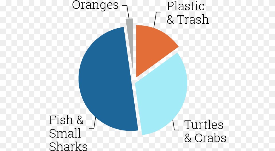 Updated Graph Tiger Sharks Eating Trash, Astronomy, Chart, Moon, Nature Free Transparent Png