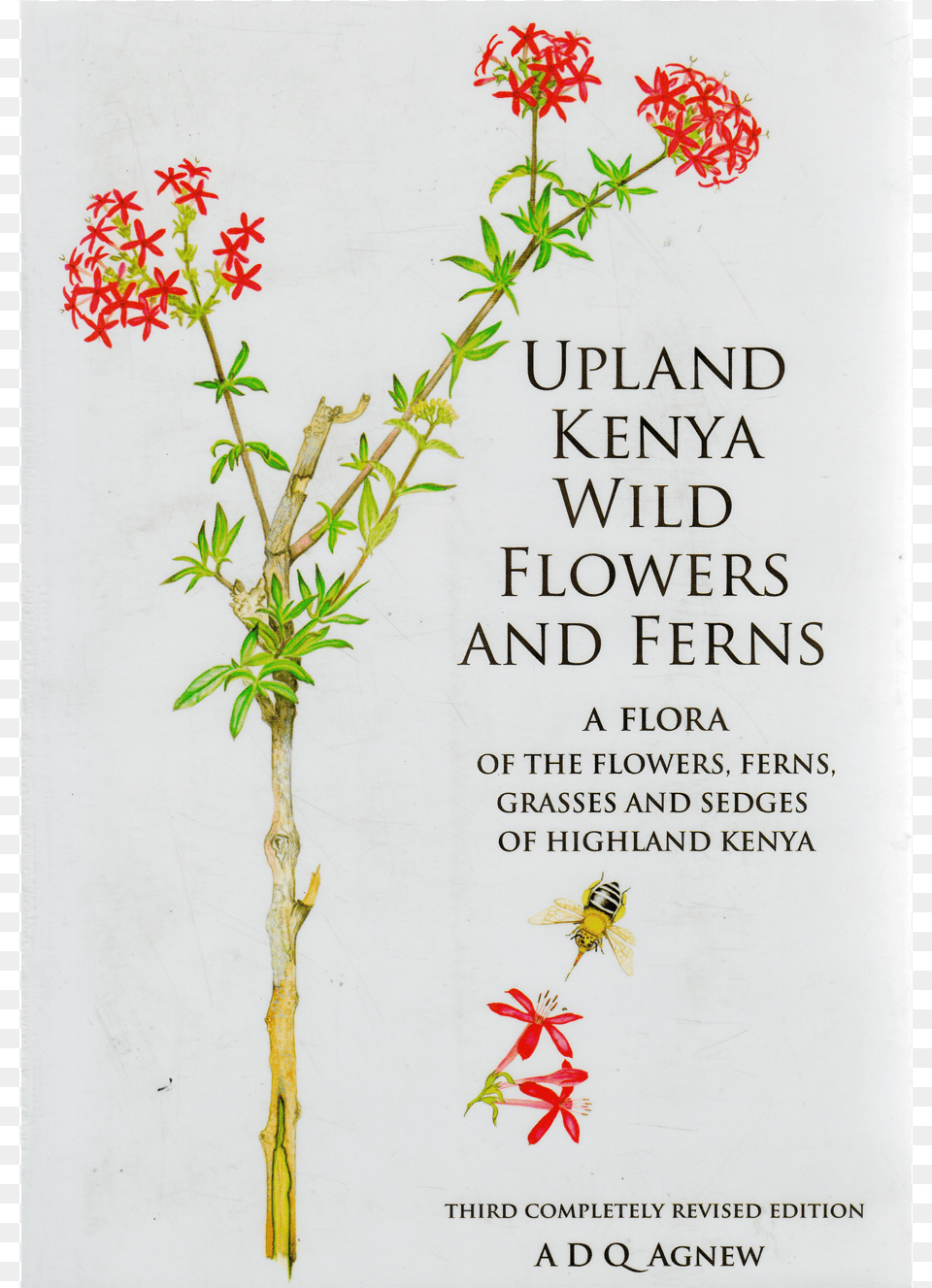 Upland Kenya Wild Flowers And Ferns Upland, Plant, Advertisement, Herbs, Herbal Free Transparent Png