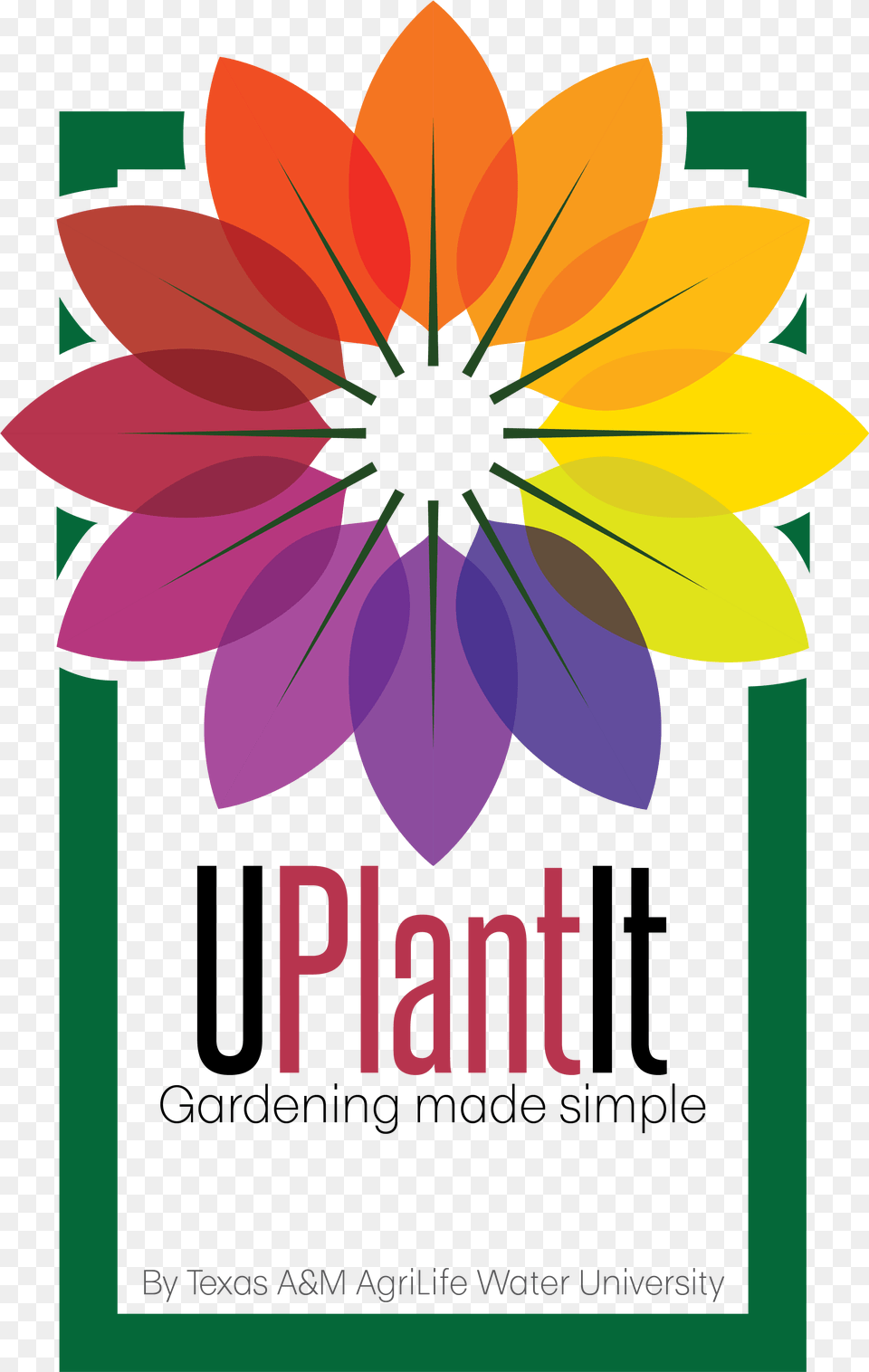 Uplantit Gardening Made Simple Water University Texas African Daisy, Dahlia, Flower, Plant, Advertisement Png