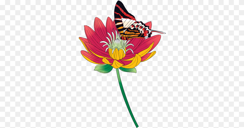 Upload Stars 629 Butterfly Flying From Flower Transparent Butterfly In Flower Gif Transparent, Anther, Dahlia, Daisy, Petal Png Image