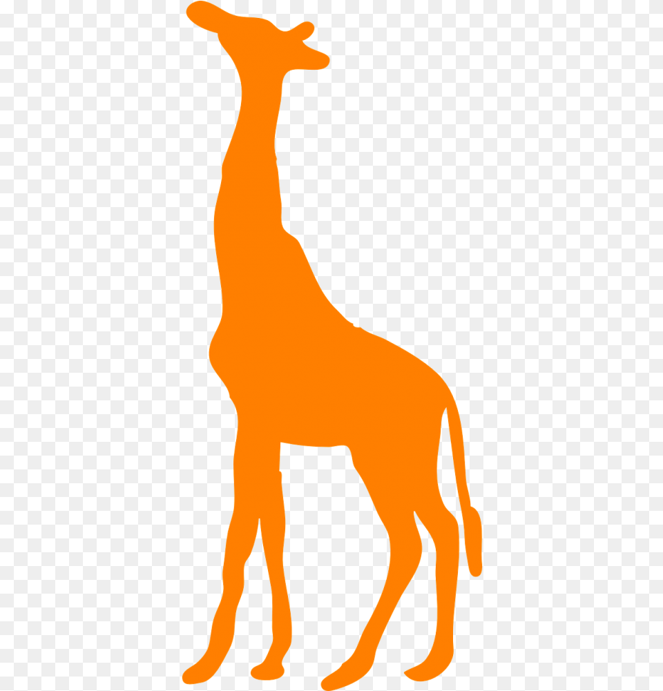 Uporangefree Vector Graphics African Giraffe Silhouette, Animal, Mammal, Person Free Transparent Png