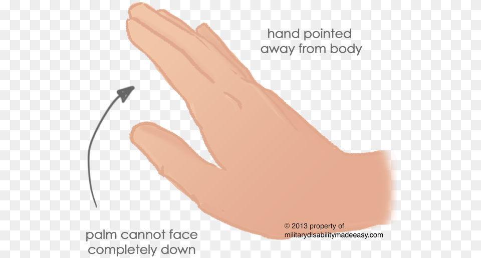 Upper Nerve, Body Part, Finger, Hand, Person Free Png Download