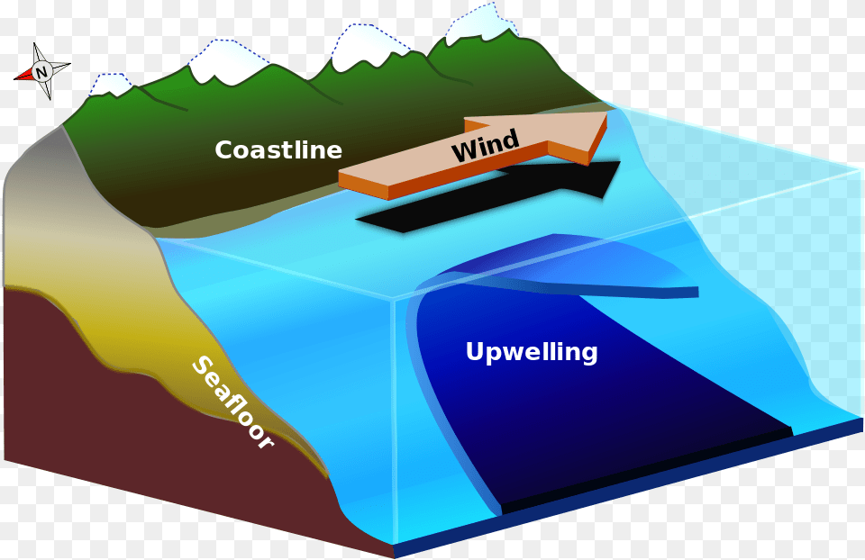 Upwelling Diagram Upwelling Zone, Computer Hardware, Electronics, Hardware, Ice Free Png