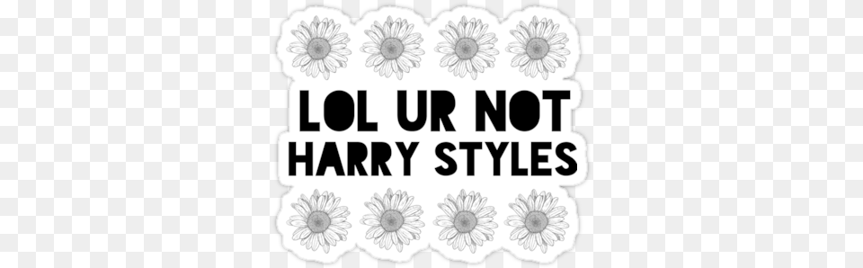 Ur Not Harry Styles Flowers By Ohmermaids Daisy Flower Drawing, Plant, Art Free Transparent Png