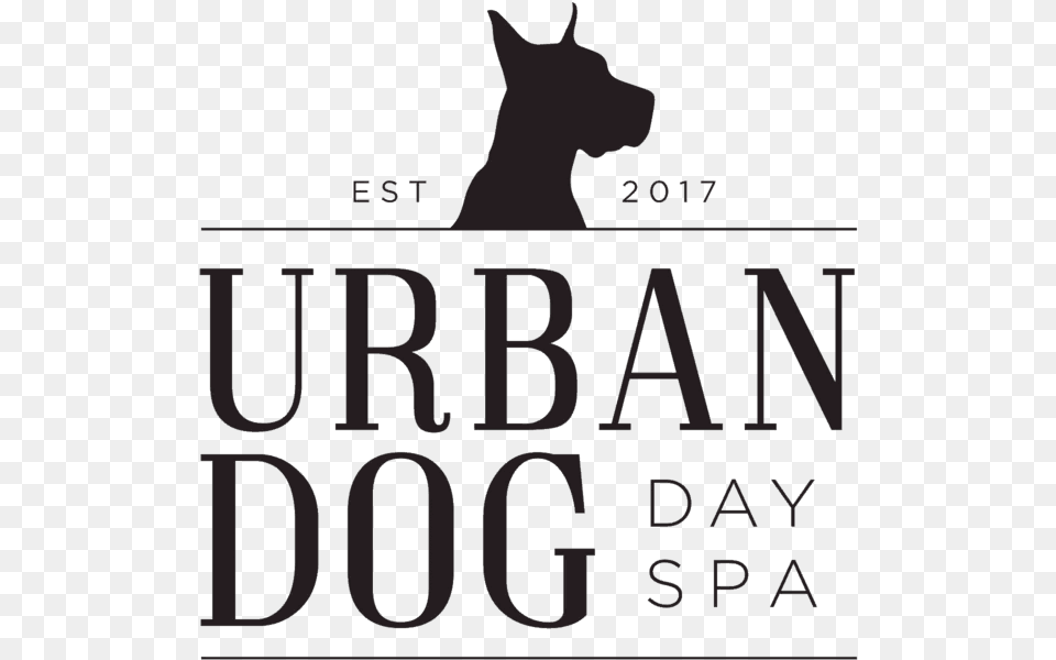 Urban Dog Day Spa Logo Dog Day Spa, Book, Publication, Animal, Cat Png