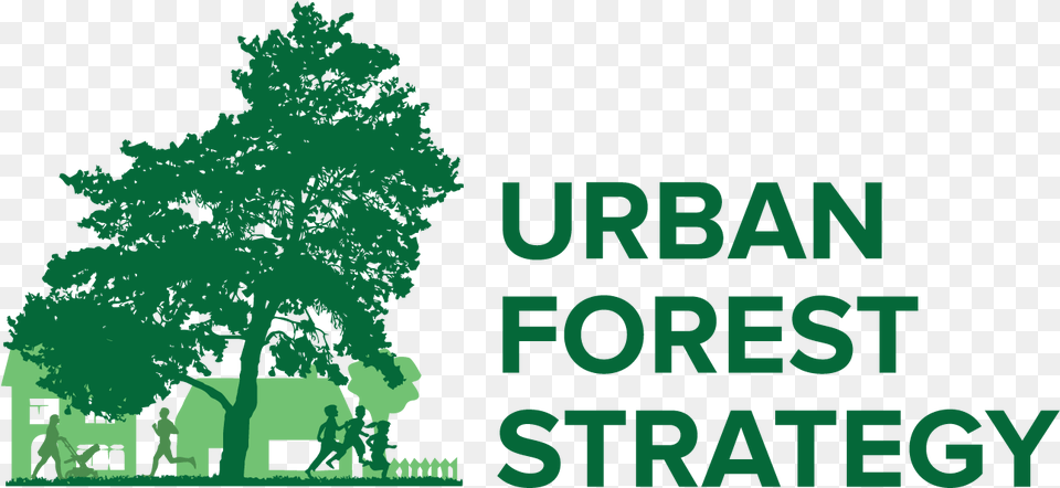 Urban Forest Strategy Launch Team In Training New, Woodland, Outdoors, Tree, Vegetation Free Transparent Png