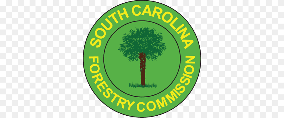 Urban Forestry Coordinator Logo Sc Forestry Commission Logo, Green, Vegetation, Tree, Plant Png