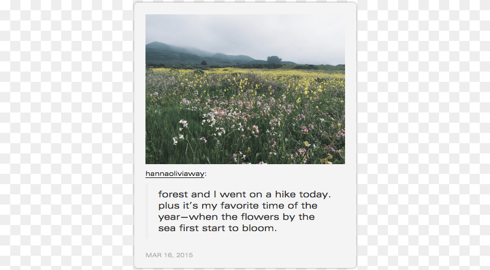 Urban Outfitters Tumblr Reblog Field, Countryside, Rural, Outdoors, Nature Png