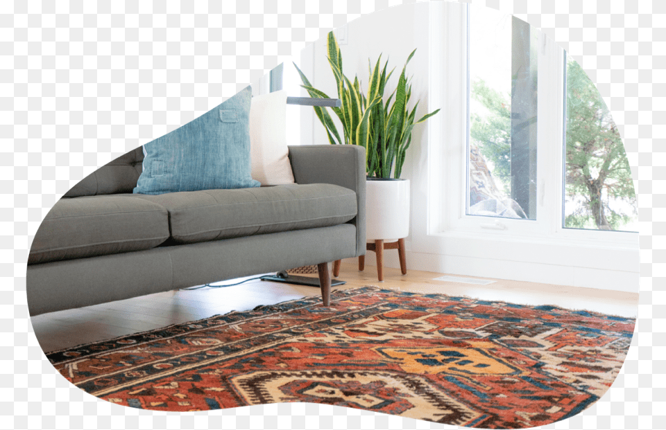 Urbanyou Carpet Cleaning Lavar Una Alfombra En Casa, Architecture, Room, Living Room, Indoors Free Png