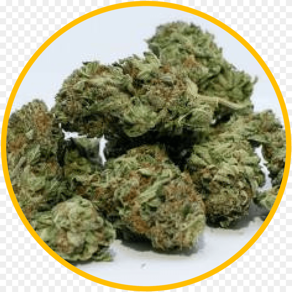 Urbn Leaf Cannabis Company Cannabis Boulette, Plant, Weed, Animal, Canine Free Transparent Png