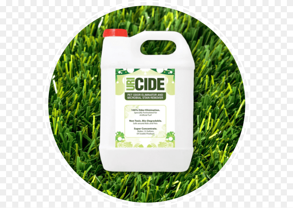 Uri Cide Lawn, Grass, Plant Free Png