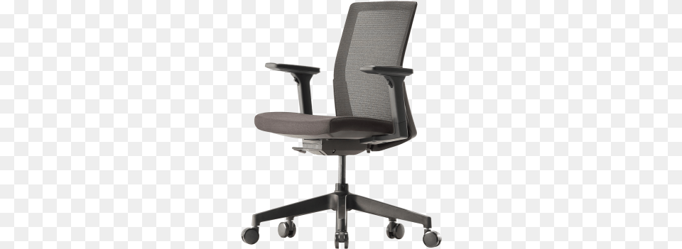 Urn Cadeira, Chair, Cushion, Furniture, Home Decor Free Png