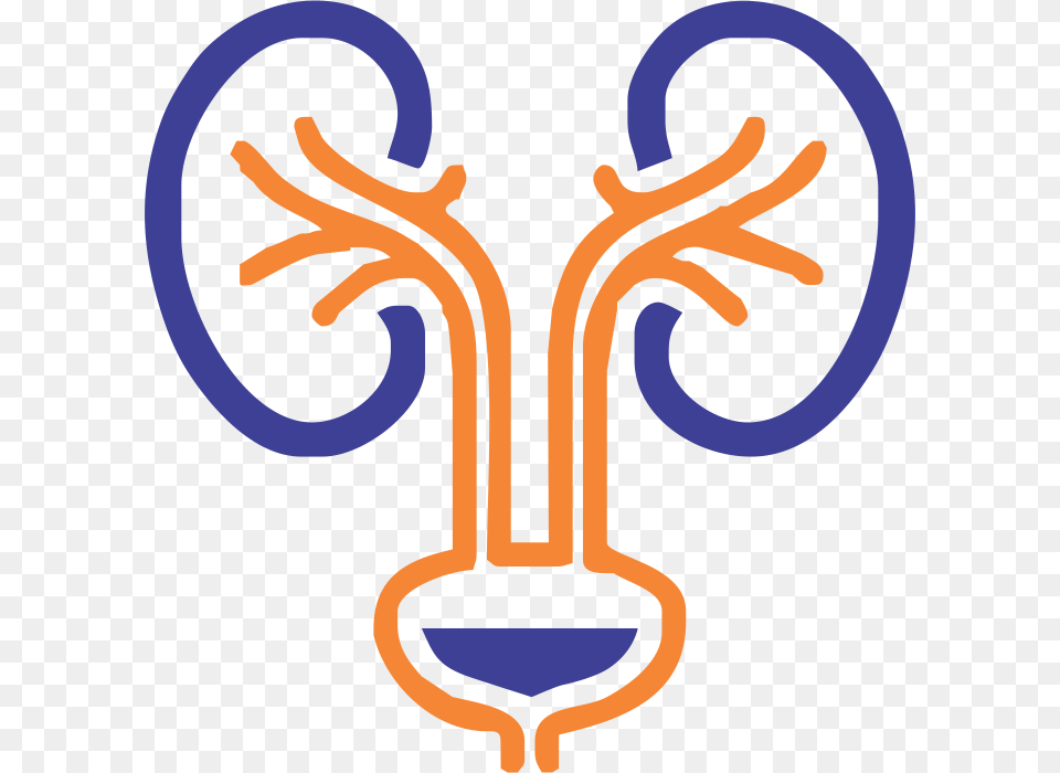 Urology Nurse Cliparts, Light Png