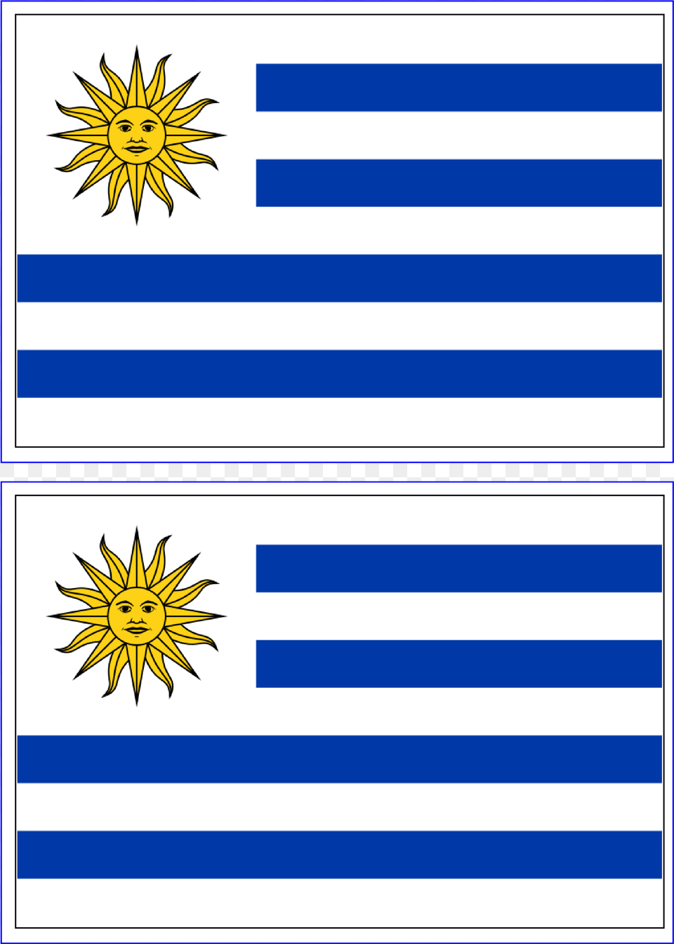 Uruguay Flag, Daisy, Flower, Plant, Face Free Png