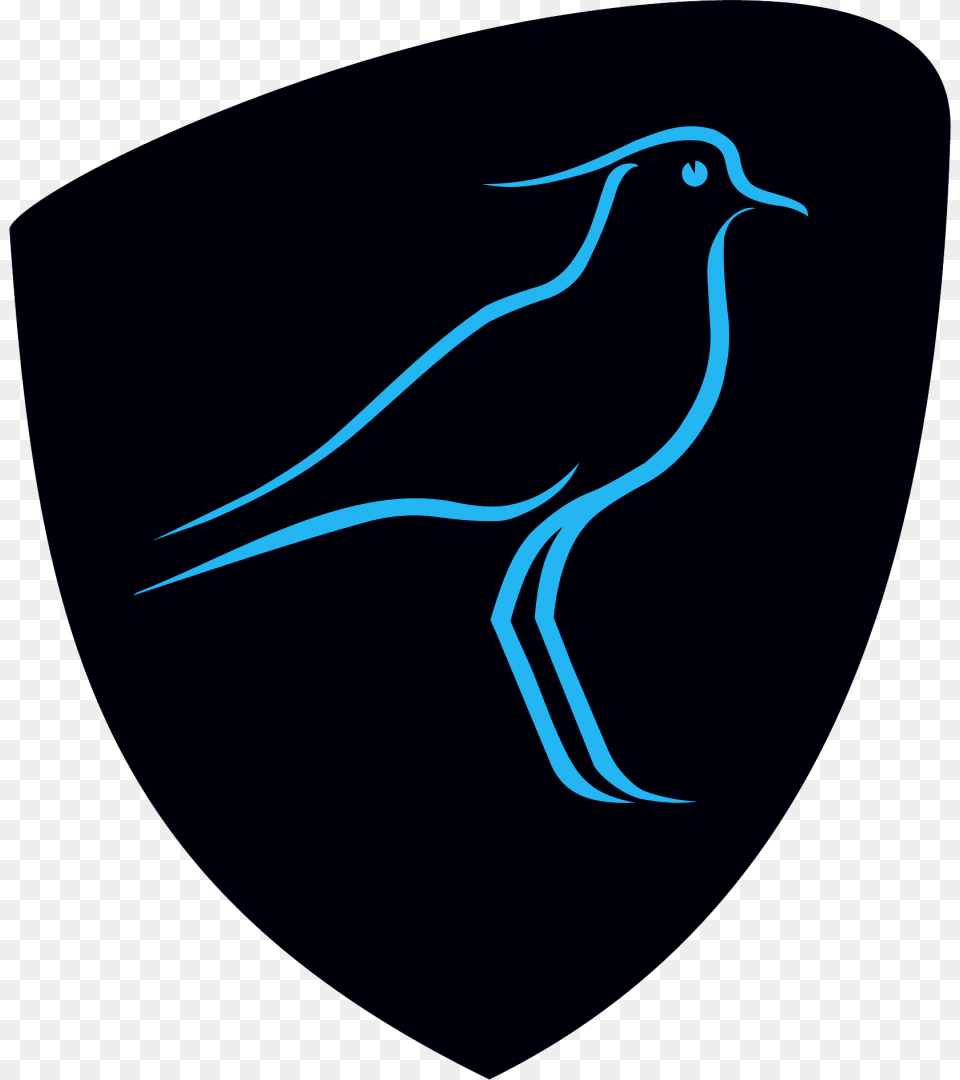 Uruguay National Rugby Union Team Download Uruguay National Rugby Union Team, Animal, Bird, Beak Free Png