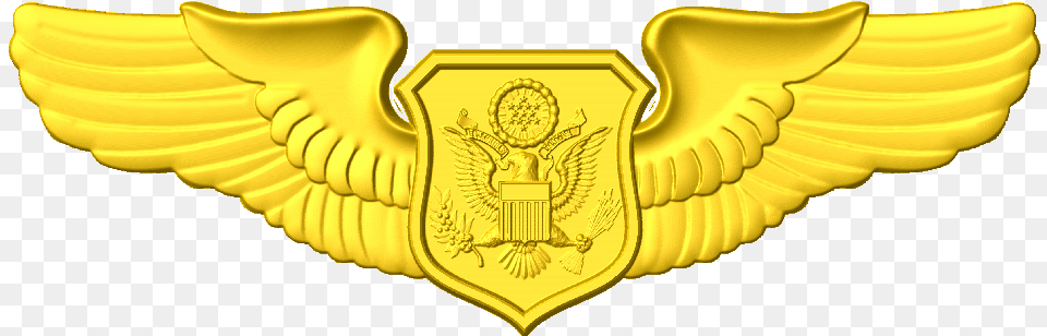 Us Air Force Drone Pilot Wings, Badge, Logo, Symbol, Emblem Png