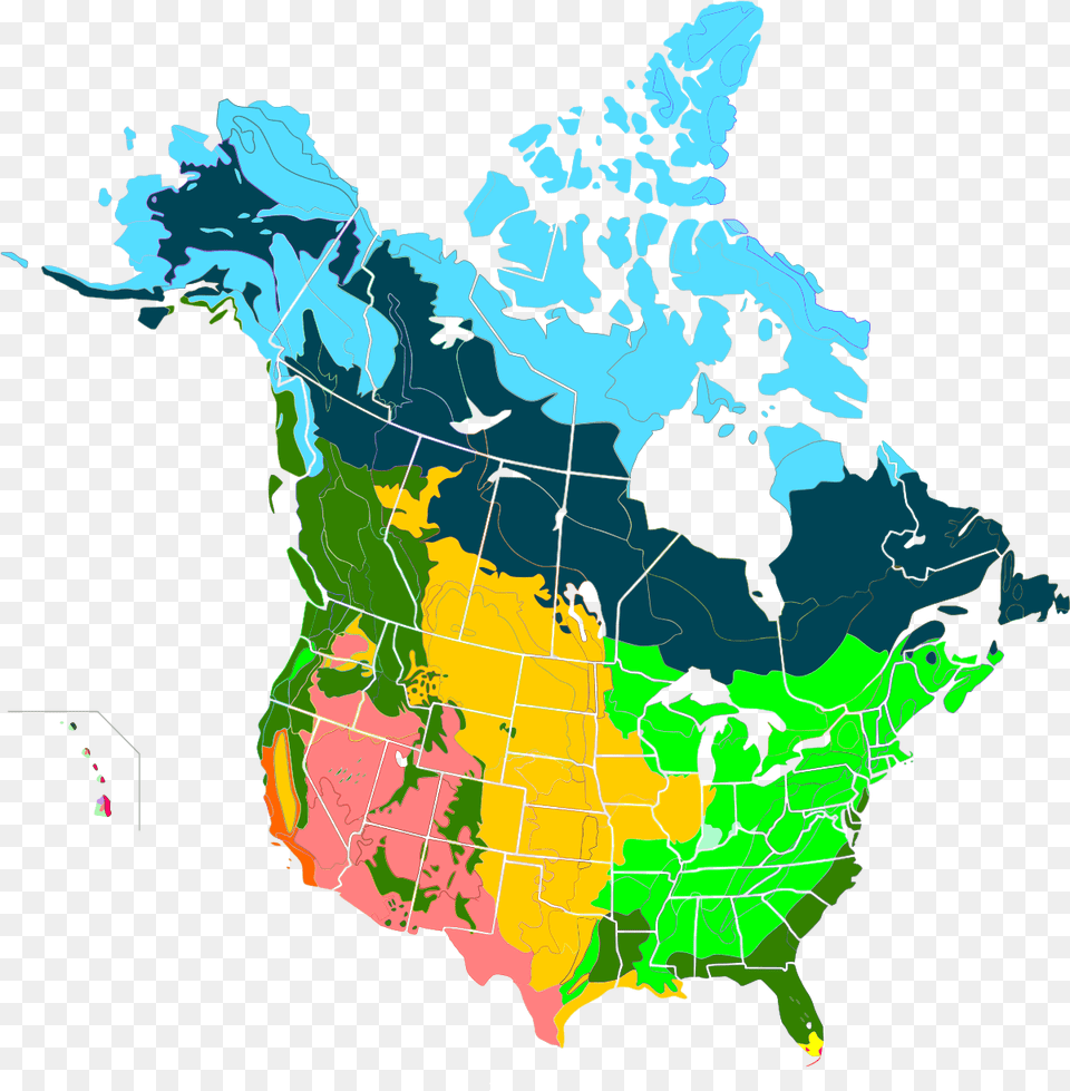 Us And Canada Map Template Boreal Forest Of Canada Do Caribou Live In Canada, Chart, Plot, Atlas, Diagram Png Image