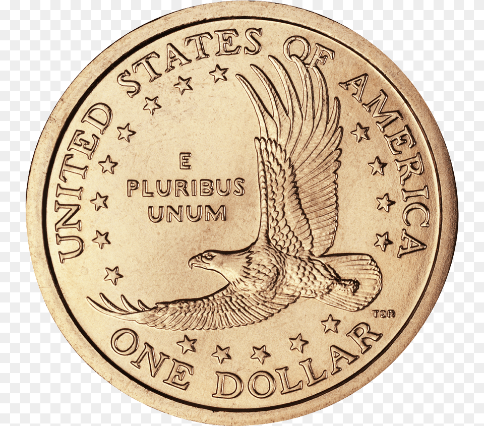 Us Dollar Coin, Animal, Bird, Money Free Png Download