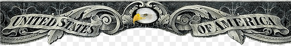 Us Gold Certificate, Accessories, Animal, Bird, Logo Png Image